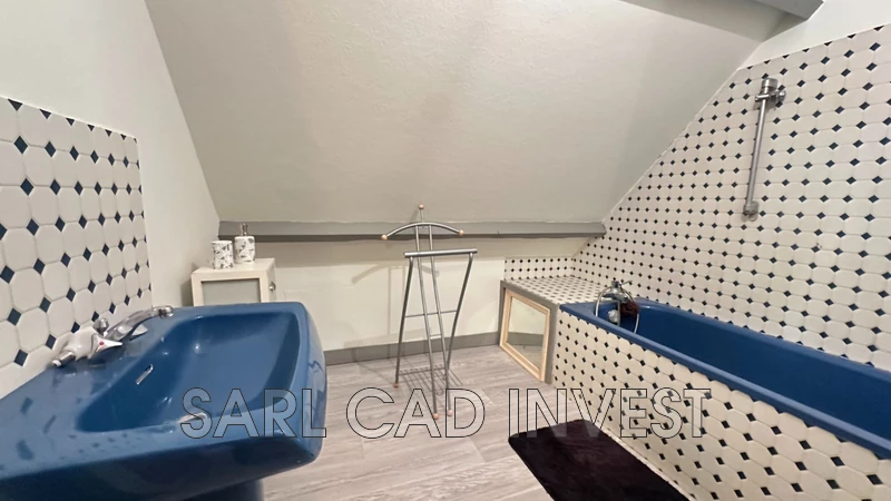 Vente maison Artannes-sur-Indre Vente maison Artannes-sur-Indre