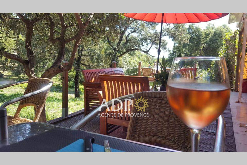 vente Vente fond de commerce Mouans-sartoux Les aspres grasse sud Mouans-Sartoux Les aspres grasse sud, Professionnel
