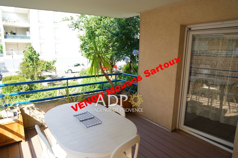 vente Appartement Mouans-sartoux Appartement Mouans-Sartoux achat appartement 2 pièces 43 m²