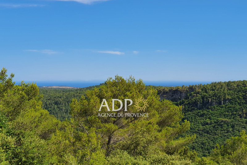 Vente maison Tourrettes-sur-Loup  