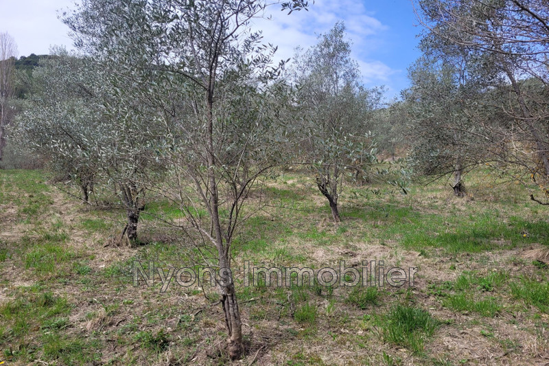 Vente ferme Pierrelongue  