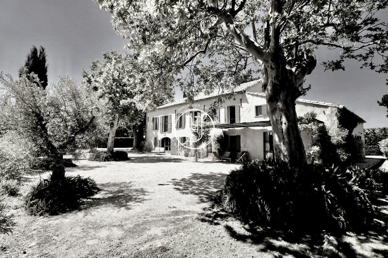 Photo Mas Saint-Rémy-de-Provence achat mas 5 chambres 365 m²