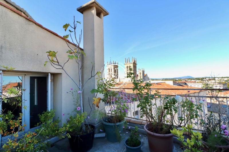 Photo Appartement Montpellier achat appartement 4 pièces 102 m²