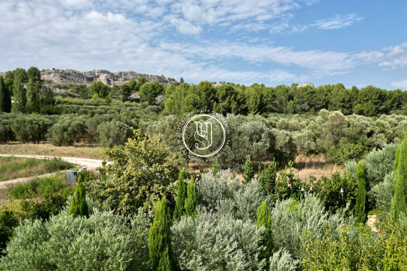 Vente maison Saint-Rémy-de-Provence  