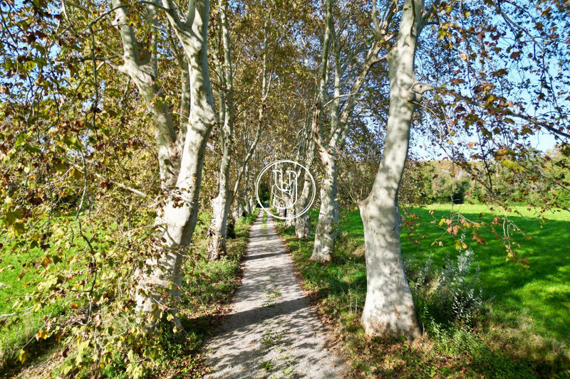 Vente maison de maître Mouriès  