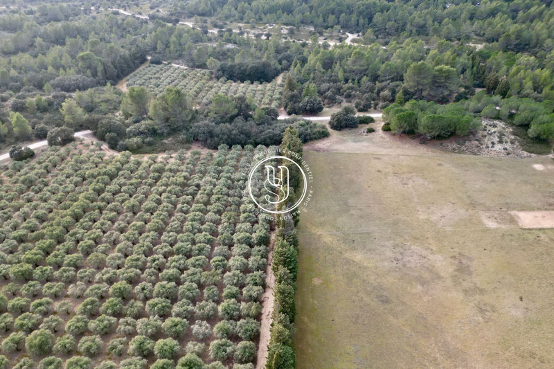 Vente mas Saint-Rémy-de-Provence  