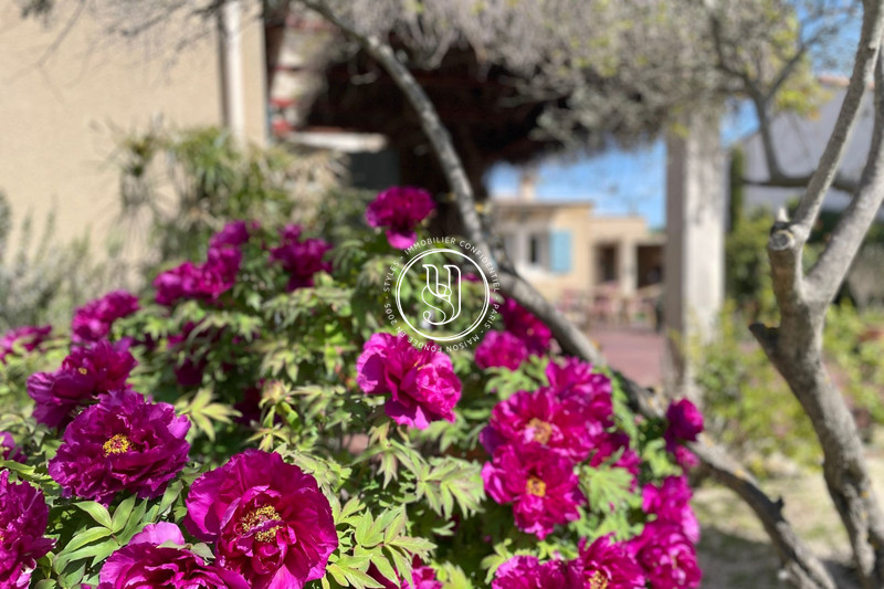 Vente maison Saint-Rémy-de-Provence  