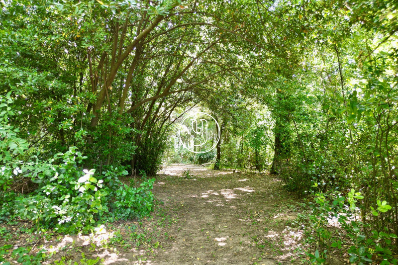 Vente château Uzès  