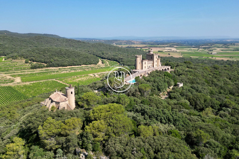 Vente château Villeneuve-lès-Avignon  