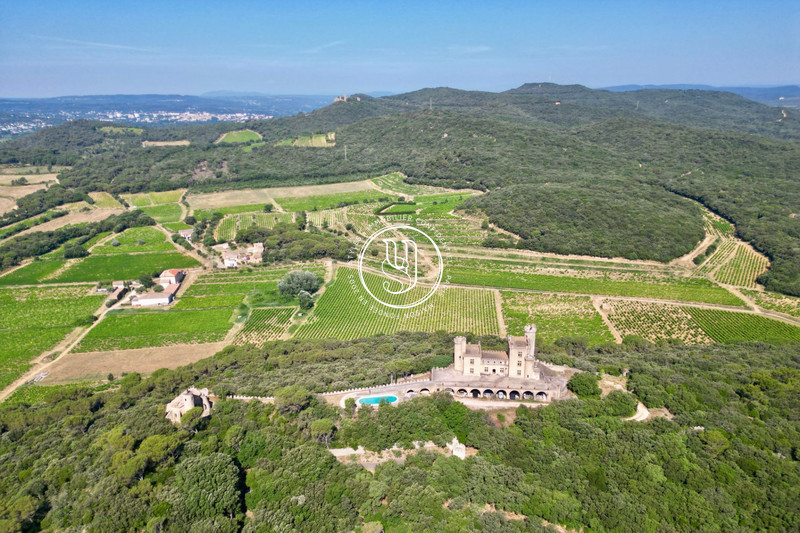 Vente château Villeneuve-lès-Avignon  