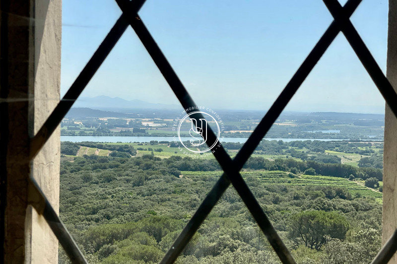 Vente château Villeneuve-lès-Avignon  