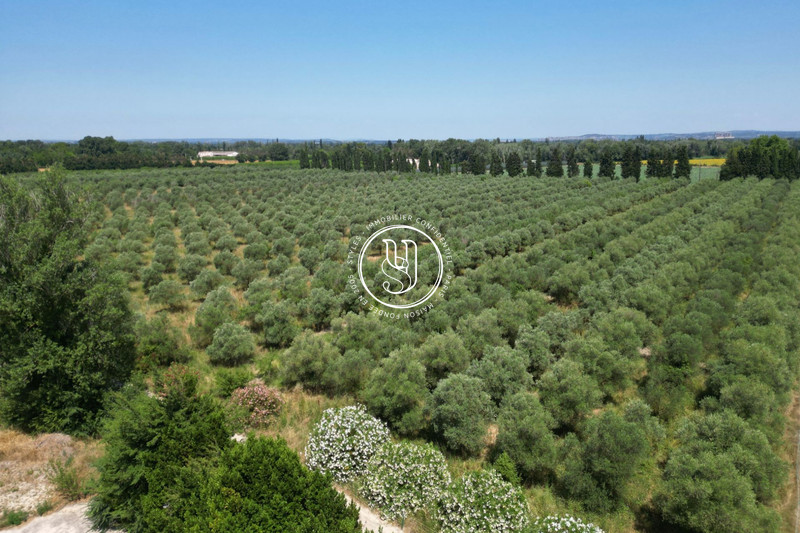 Vente propriété Saint-Rémy-de-Provence  