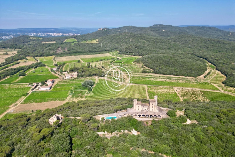 Vente château Villeneuve-lès-Avignon  