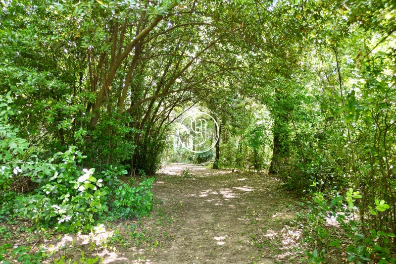 Vente château Uzès  