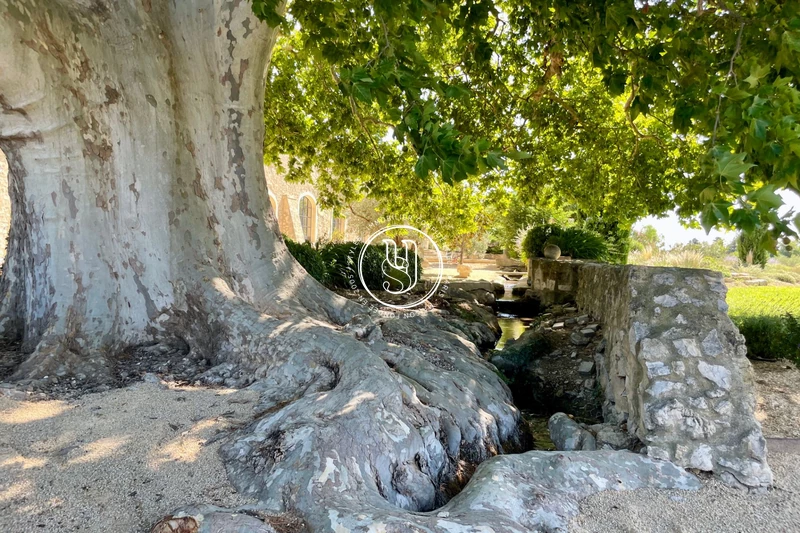 Vente maison Maussane-les-Alpilles  