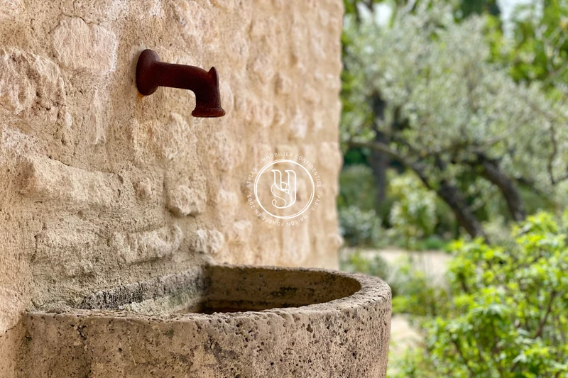 Vente mas Saint-Rémy-de-Provence  