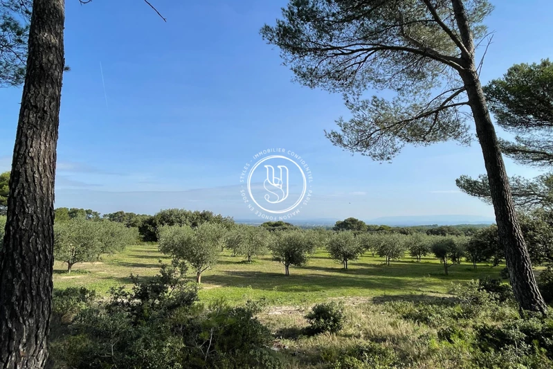 Vente mas Saint-Rémy-de-Provence  