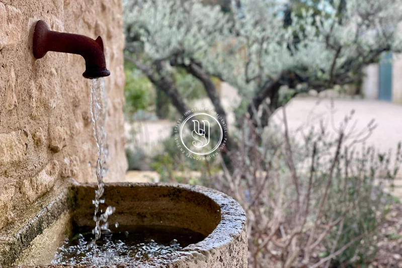 Vente mas Saint-Rémy-de-Provence  