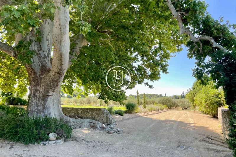 Vente propriété Maussane-les-Alpilles  