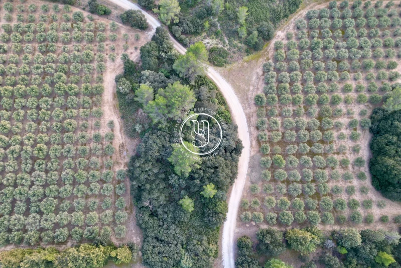 Vente mas Saint-Rémy-de-Provence Vente mas Saint-Rémy-de-Provence