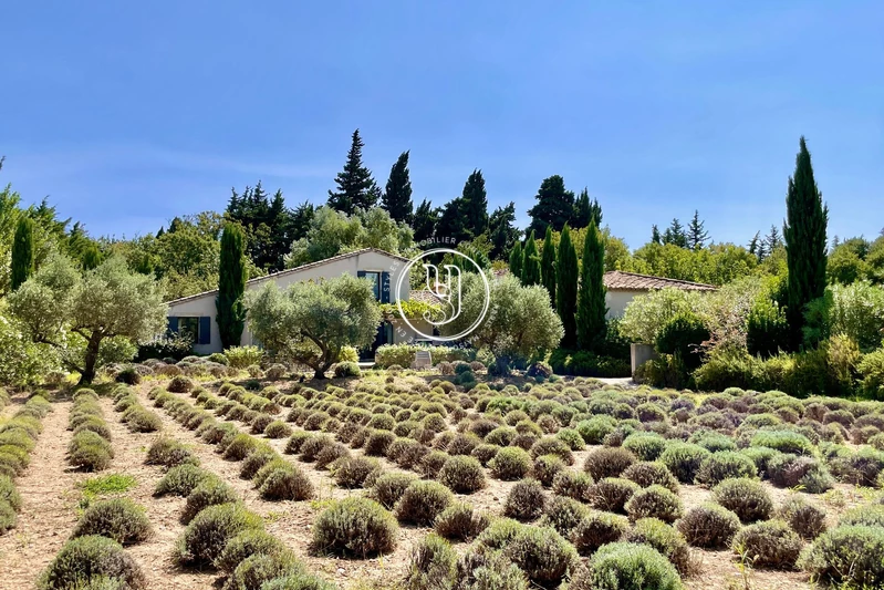 Vente propriété Saint-Rémy-de-Provence  