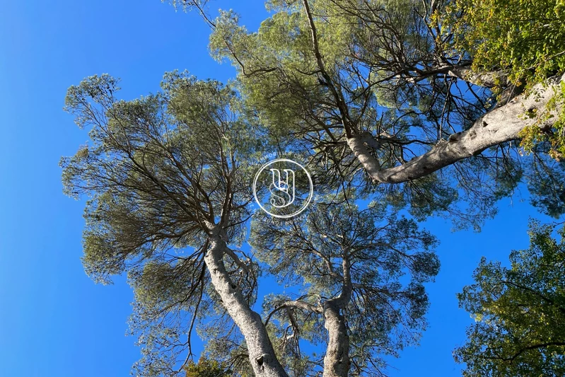 Vente maison de maître Uzès  