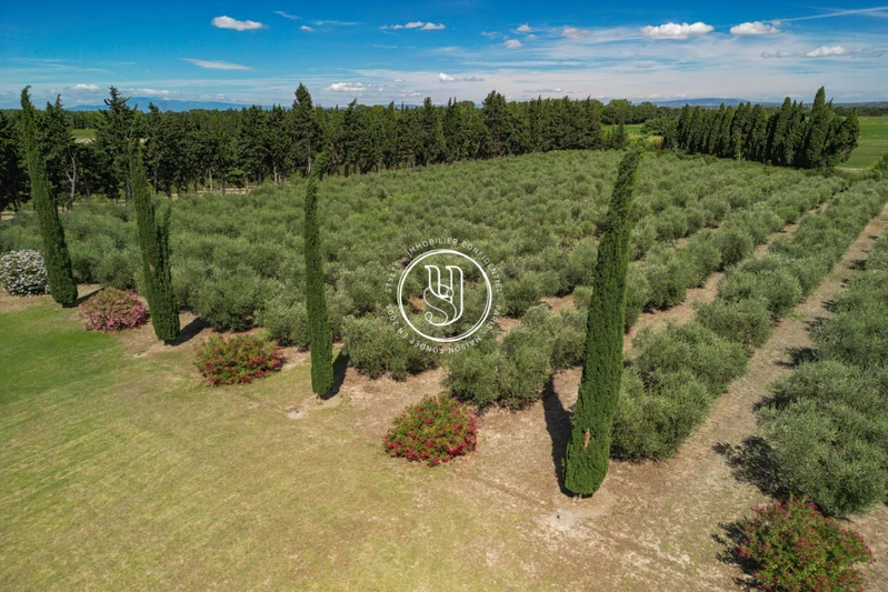 Vente mas Saint-Rémy-de-Provence  