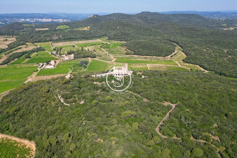 Vente château Villeneuve-lès-Avignon  
