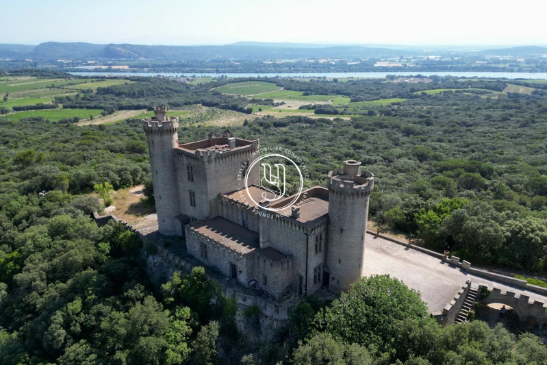 Vente château Villeneuve-lès-Avignon  