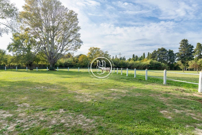 Vente mas Saint-Rémy-de-Provence  