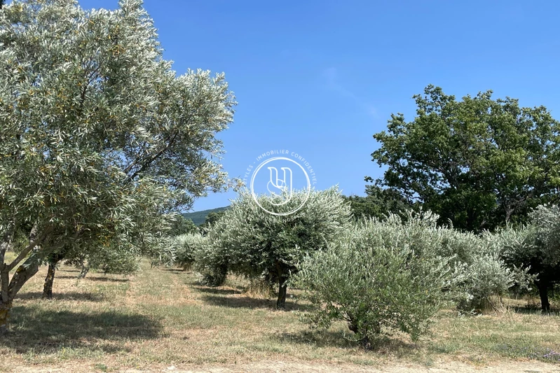 Vente maison Saint-Rémy-de-Provence  