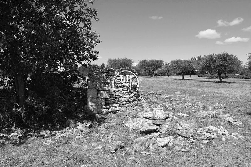 Photo Terrain Uzès achat terrain 3000 m²