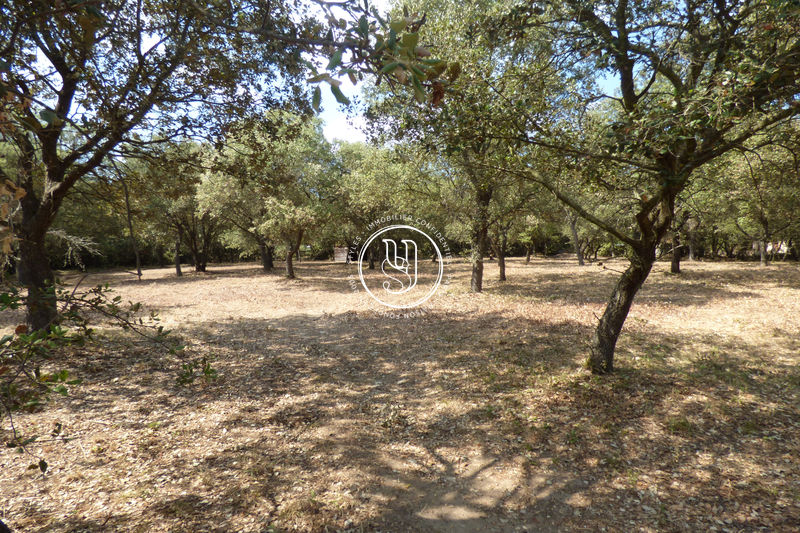 Photo Terrain Uzès achat terrain 1500 m²