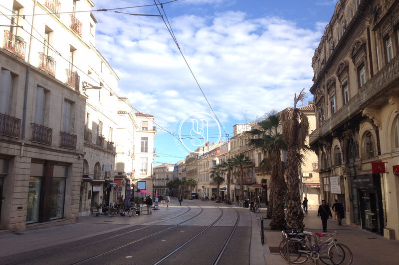 Photo Appartement Montpellier achat appartement 4 pièces 87 m²