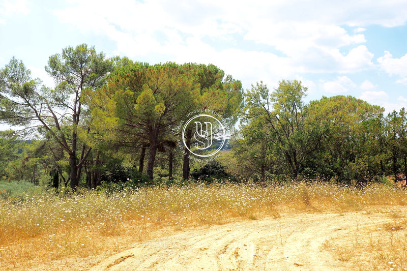 Photo Terrain Montferrier-sur-Lez achat terrain 1000 m²