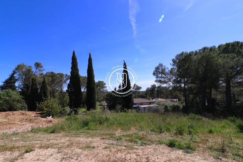 Photo Terrain Montpellier achat terrain 1000 m²