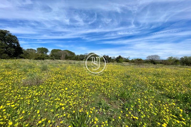Vente terrain constructible Uzès  