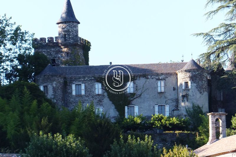 Photo Château Anduze achat château 11 chambres 460 m²