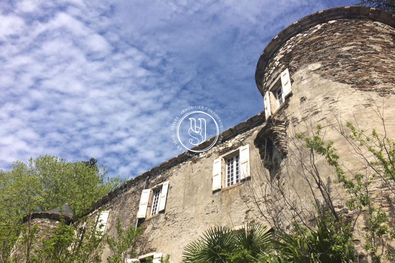 Photo Château Anduze achat château 11 chambres 460 m²