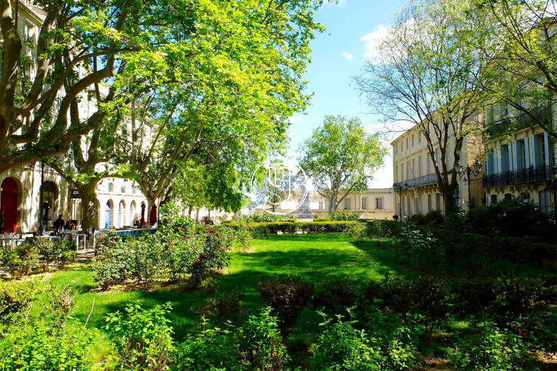 Photo Appartement Montpellier achat appartement 5 pièces 171 m²