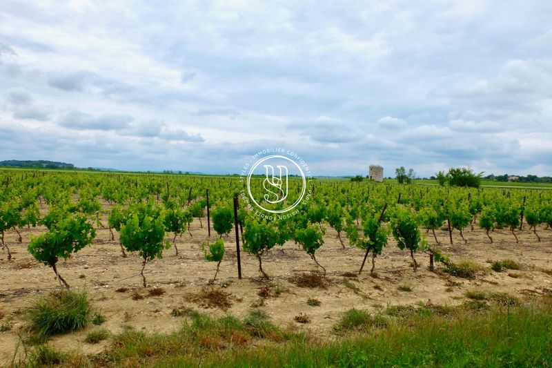 Photo Propriété Uzès achat propriété 26 chambres 1193 m²