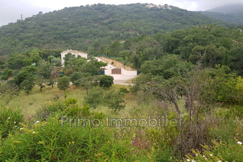 Photo Terrain Grimaud achat terrain