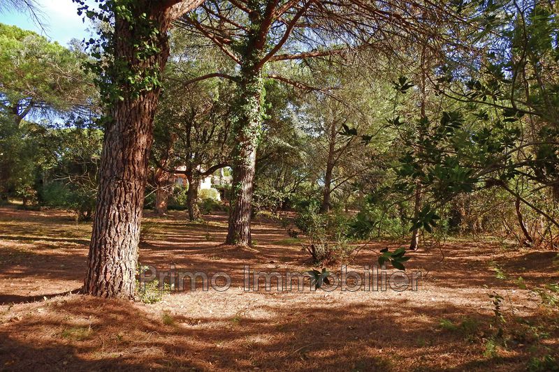 Photo Terrain Grimaud achat terrain 2335 m²