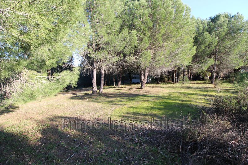 Photo Land Grimaud to buy land 5574 m²