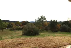 Vente maison Cogolin  