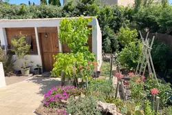 Vente villa Cogolin  