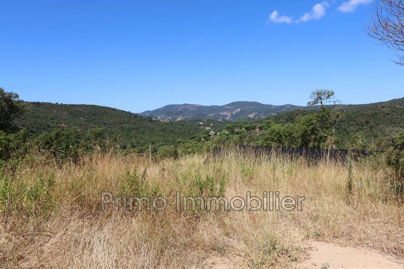 Photo n°4 - Vente maison Sainte-Maxime 83120 - 990 000 €