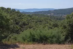 Vente maison Sainte-Maxime  