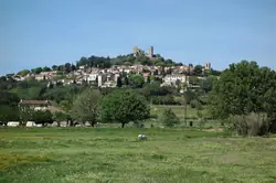 Vente terrain Grimaud  
