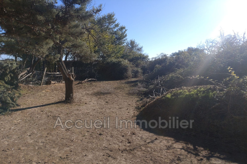 Photo Terrain agricole Aimargues Aimargues,   achat terrain agricole   2445&nbsp;m&sup2;